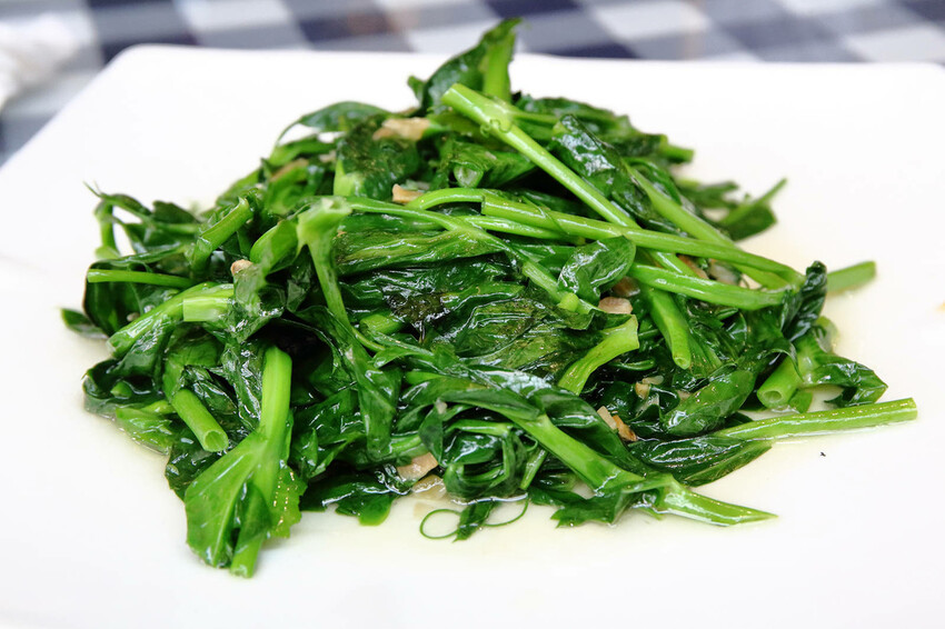 竹科寶山特區隱藏版茶餐廳，超美玻璃屋餐廳，好吃、好美、好好拍