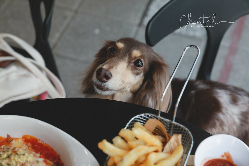 1J6A7413-2 拷貝 1J6A7413-2 拷貝