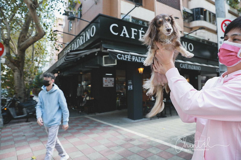 1J6A7352-2 拷貝 1J6A7352-2 拷貝