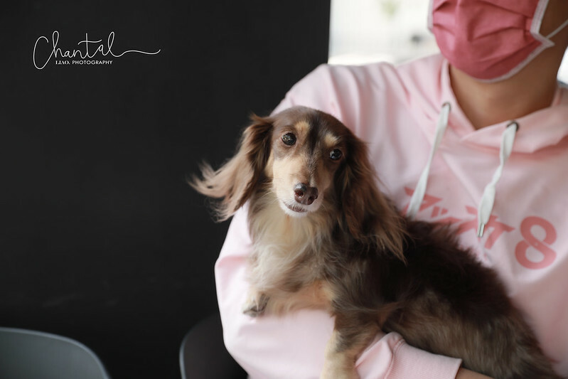 1J6A7323 拷貝 1J6A7323 拷貝