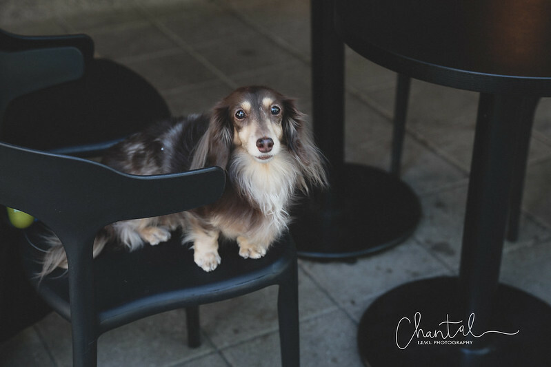 1J6A7289-2 拷貝 1J6A7289-2 拷貝