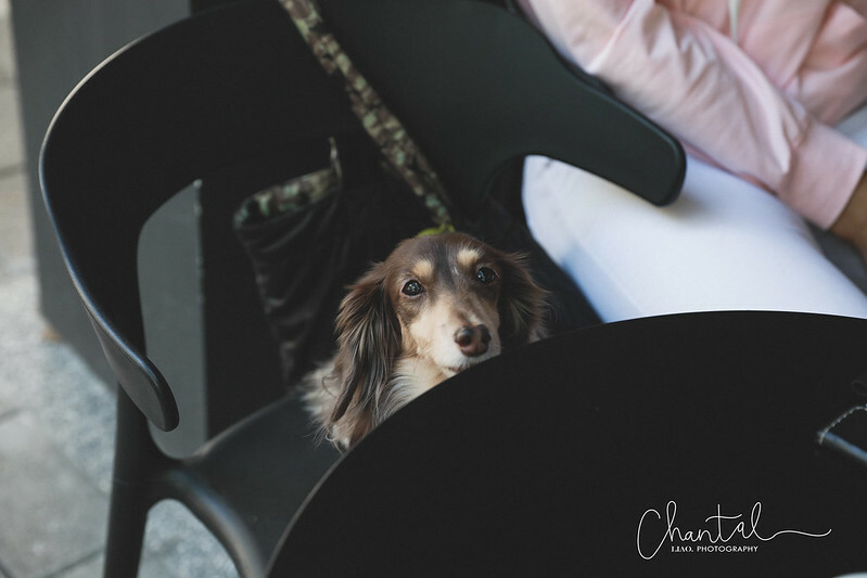 1J6A7288-2 拷貝 1J6A7288-2 拷貝