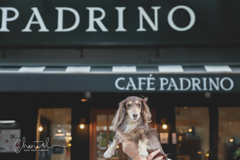 1J6A7342-2 拷貝 1J6A7342-2 拷貝