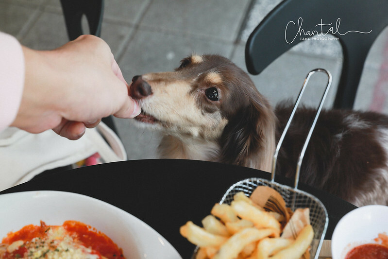 1J6A7417-2 拷貝 1J6A7417-2 拷貝