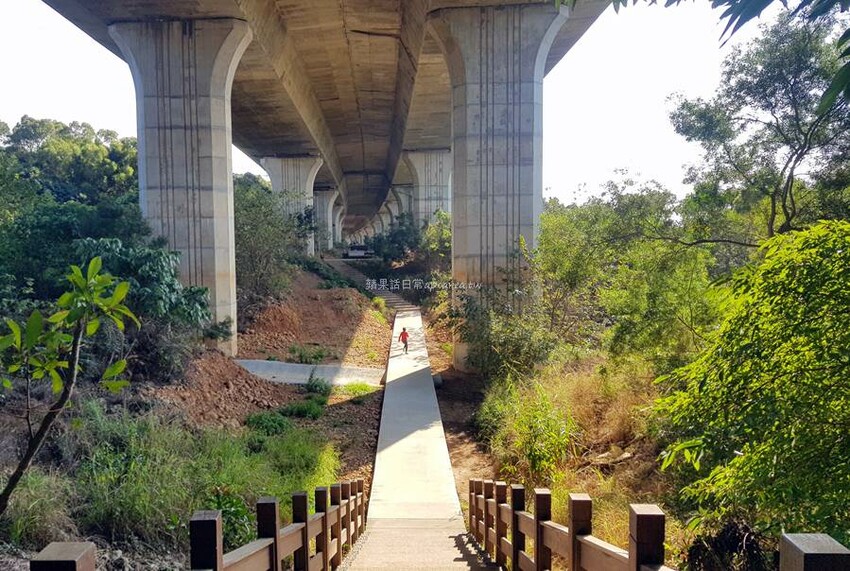 台中捷運美食,火烤兩吃韓式燒肉339元起吃到飽,父親節活動兩人同行送百元代金券!咚豬咚豬公益大墩店。 - 🍎 蘋果話日常🍎