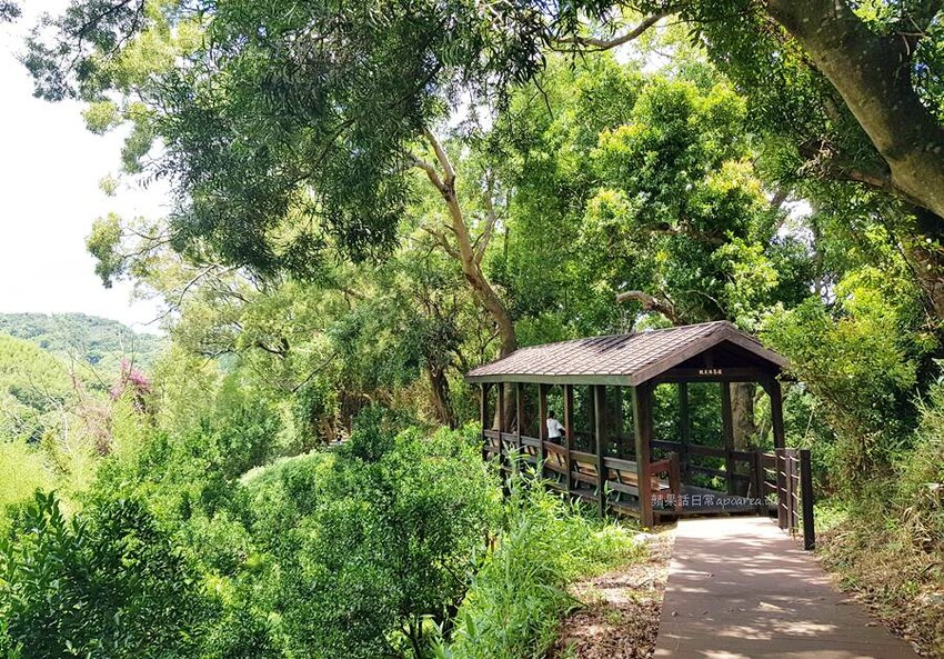 台中捷運美食,火烤兩吃韓式燒肉339元起吃到飽,父親節活動兩人同行送百元代金券!咚豬咚豬公益大墩店。 - 🍎 蘋果話日常🍎