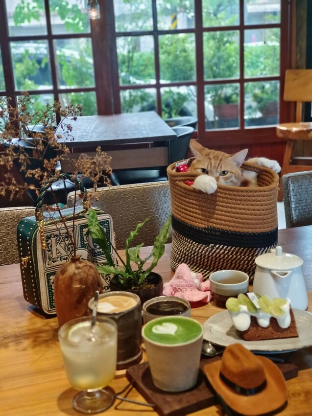 371973.jpg - 【宜蘭.頭城】日式古宅寵物友善。捌㡯珈琲。鐵道旁超美日式建築。店內超美超大超好拍