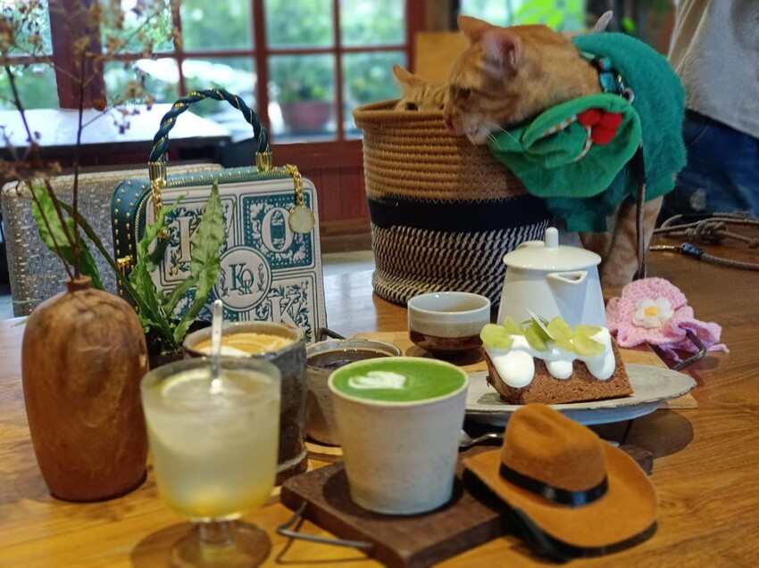 371971.jpg - 【宜蘭.頭城】日式古宅寵物友善。捌㡯珈琲。鐵道旁超美日式建築。店內超美超大超好拍