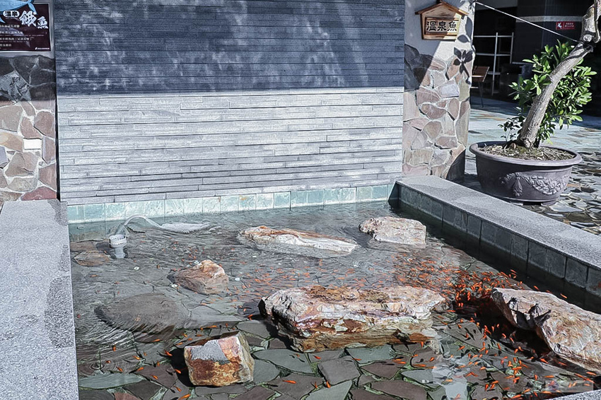 IMG_9367.jpg IMG_9367.jpg