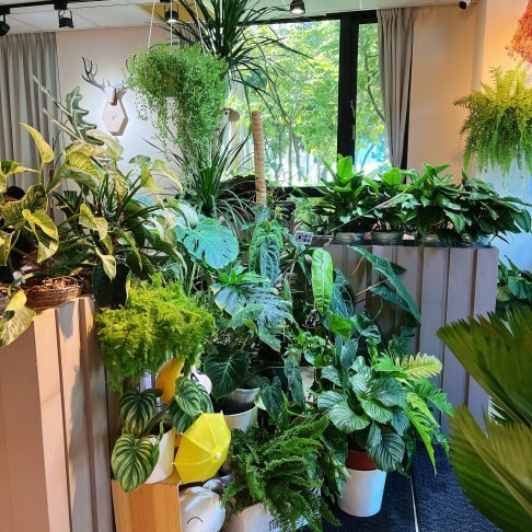 桃園青埔最有質感綠意盎然的咖啡廳—越啡 越南美食植物咖啡館，獨特的的越式料理一開門即客滿