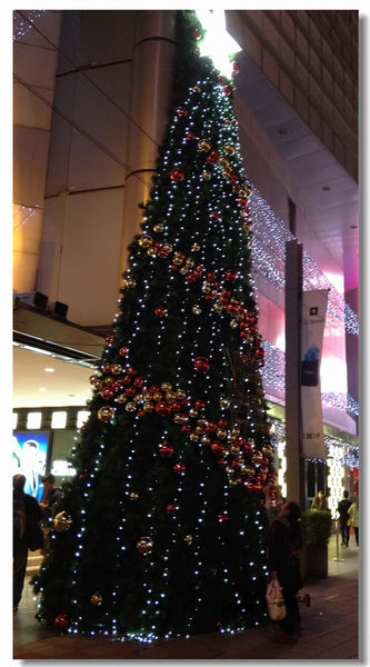 IMG_9151.jpg IMG_9151.jpg