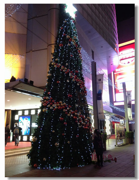 IMG_9153.jpg IMG_9153.jpg