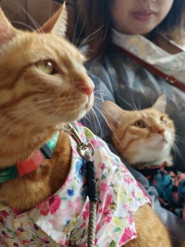 390571.jpg - 【宜蘭.礁溪】奶油麵包旗艦店。寵物友善+用餐環境寬敞舒適+兩人套餐超彭湃超好拍