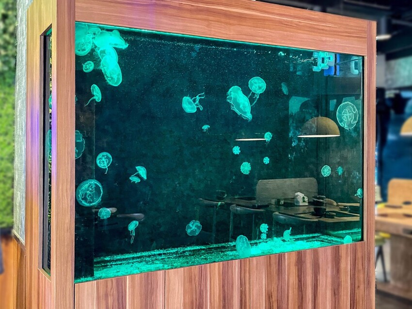 ｜新北美食｜海牧水產鍋物｜板橋人激推 活蝦海產產地直送 CP值超高火鍋