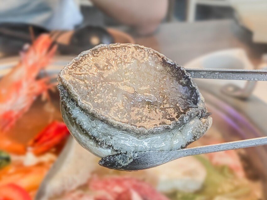 ｜新北美食｜海牧水產鍋物｜板橋人激推 活蝦海產產地直送 CP值超高火鍋