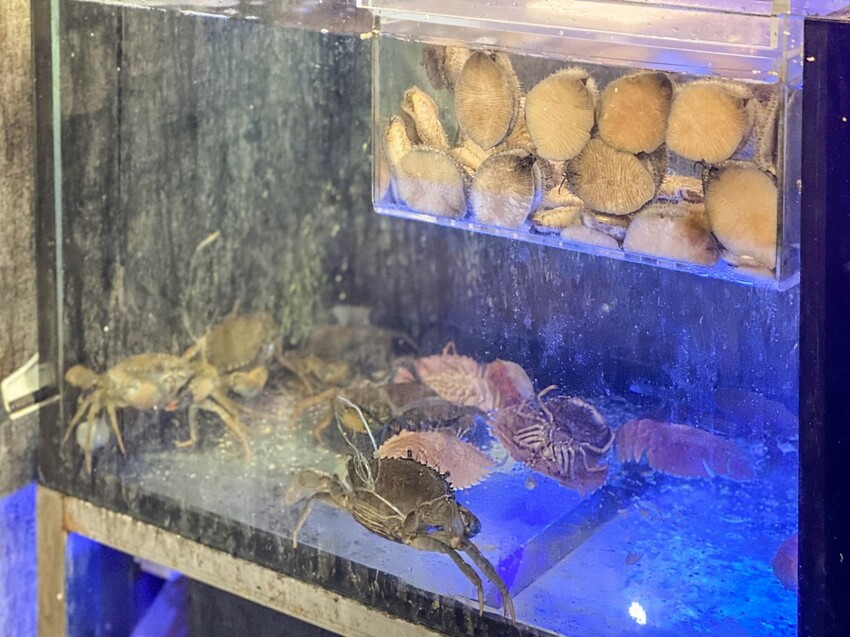 ｜新北美食｜海牧水產鍋物｜板橋人激推 活蝦海產產地直送 CP值超高火鍋