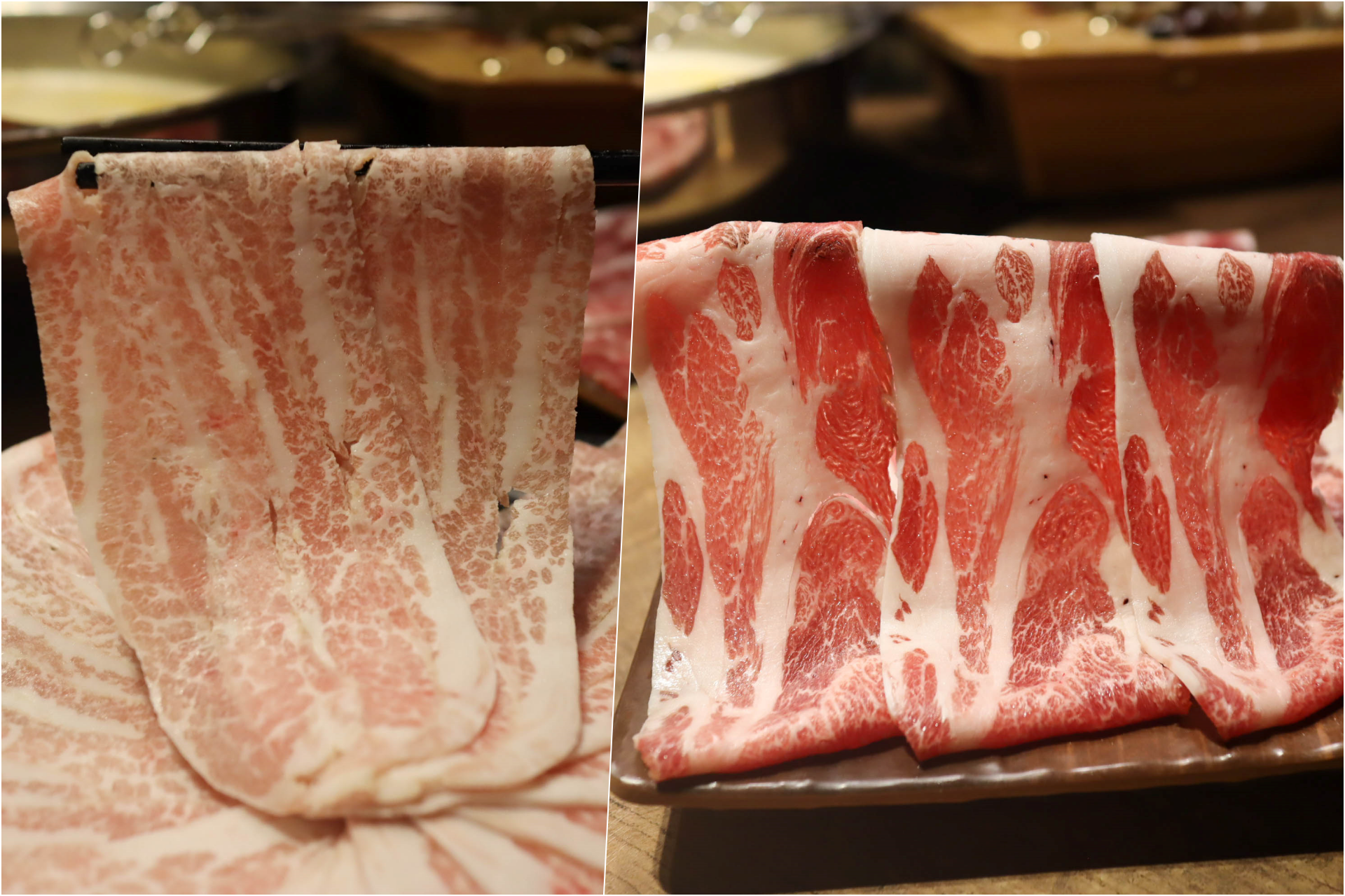 板橋新開幕火鍋店就在耶誕城旁,水母缸整個吸引了小朋友目光啦~