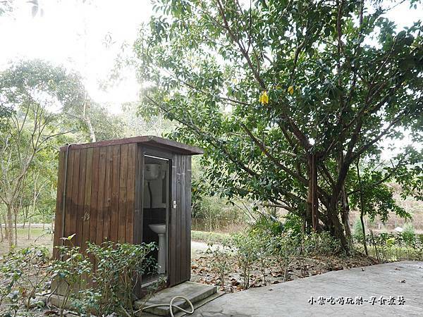 太平苗圃落羽松 (1).jpg