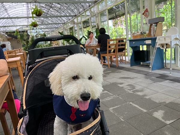 桃園-屋頂被藤蔓爬滿的咖啡廳朝顏屋3.2k （寵物友善）