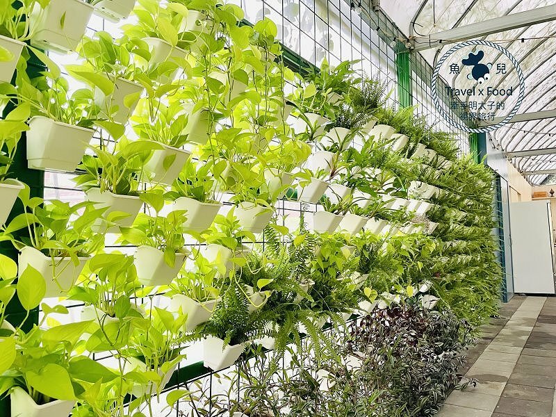 朝顏屋3.2K｜花卉小草、輕食早午餐與手作點心，都市裡悠閒快活的角落 @ 魚兒 x 牽手明太子的「視」界旅行