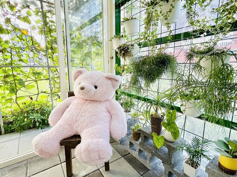 朝顏屋3.2K｜花卉小草、輕食早午餐與手作點心，都市裡悠閒快活的角落 @ 魚兒 x 牽手明太子的「視」界旅行