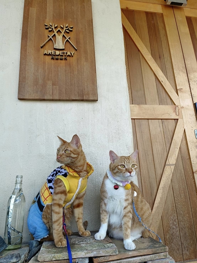 【花蓮.光復】阿樂樂代Aredetay。法式原住民精緻料理。融合阿美族的飲食文化。值得一訪