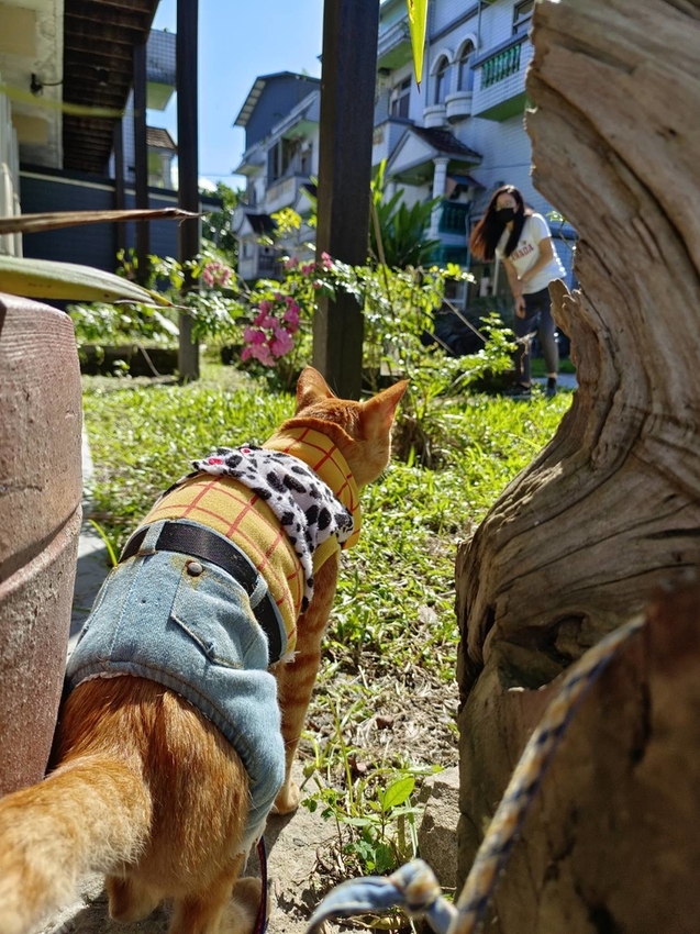 【花蓮.光復】阿樂樂代Aredetay。法式原住民精緻料理。融合阿美族的飲食文化。值得一訪