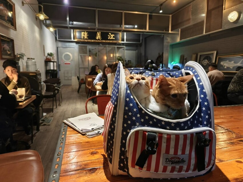 59807.jpg - 【基隆】三奇壹號咖啡館X築甜製菓。寵物友善+抹茶千層+榛果千層+草莓千層+手沖咖啡