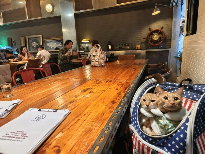 59808.jpg - 【基隆】三奇壹號咖啡館X築甜製菓。寵物友善+抹茶千層+榛果千層+草莓千層+手沖咖啡