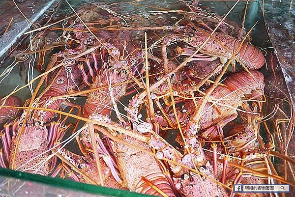 野柳海鮮推薦【錦園漁夫料理】走!去野柳吃超值活海鮮料理／萬里野柳必吃美食