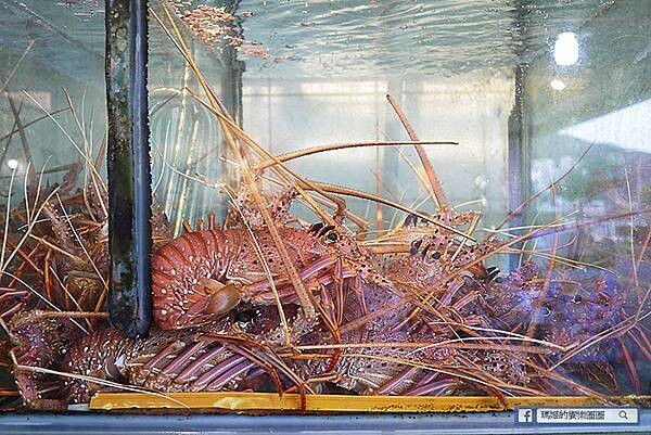 野柳海鮮推薦【錦園漁夫料理】走!去野柳吃超值活海鮮料理／萬里野柳必吃美食
