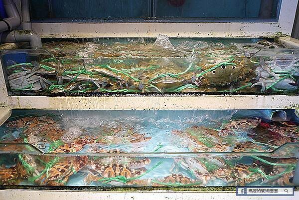野柳海鮮推薦【錦園漁夫料理】走!去野柳吃超值活海鮮料理／萬里野柳必吃美食