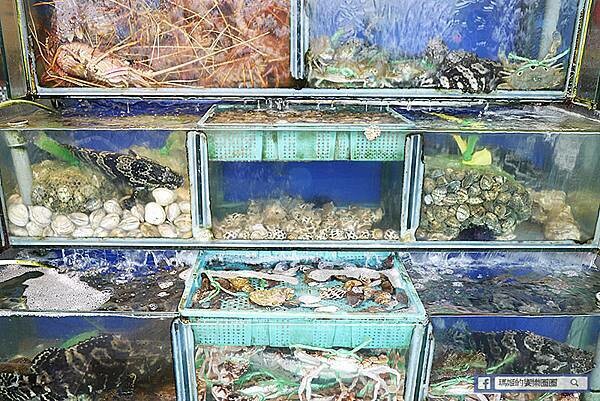 野柳海鮮推薦【錦園漁夫料理】走!去野柳吃超值活海鮮料理／萬里野柳必吃美食