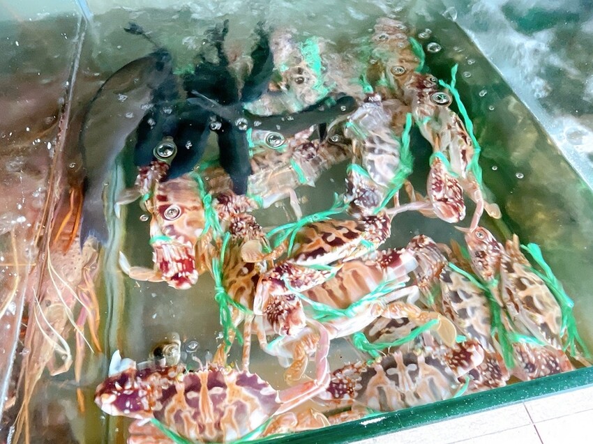 S__1654814.jpg S__1654814.jpg