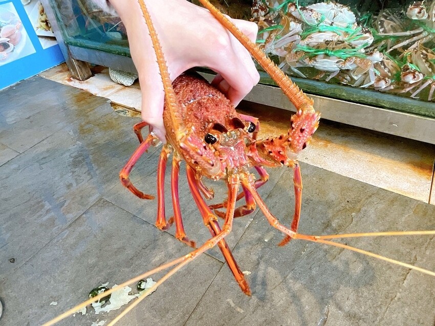 S__1654819.jpg S__1654819.jpg