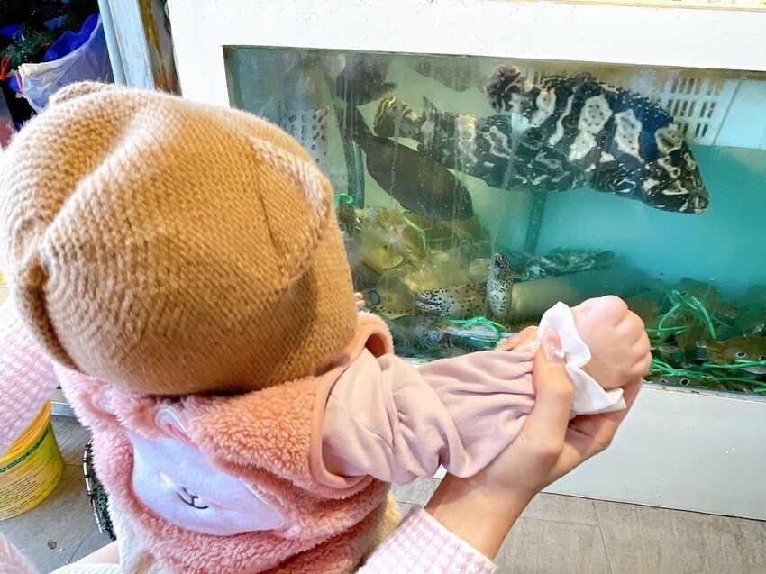 S__1654817.jpg S__1654817.jpg