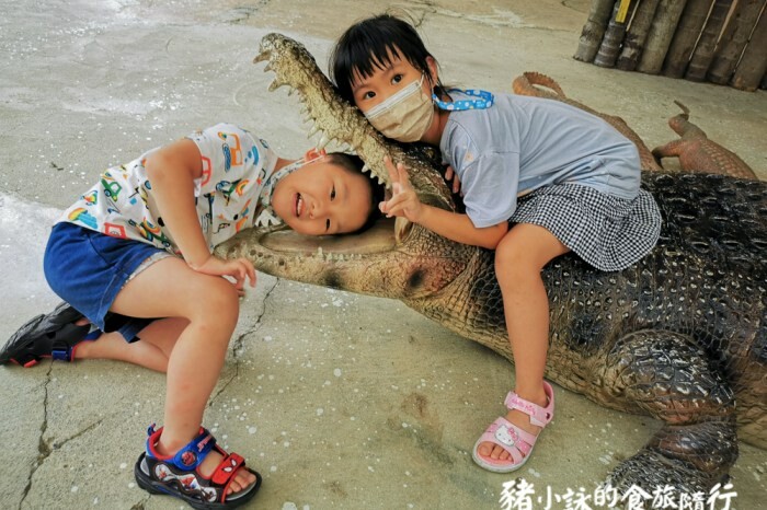 台南。南區》金三益健康茶飲永華店-號稱超浮誇人氣店