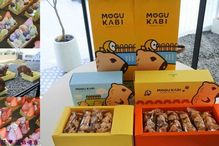 台南甜點【兩津芙蓉蛋塔】烤炙超噴香！鬆軟滑嫩的蛋塔濃厚蛋香氣.金黃酥脆的菠蘿奶油香.下午茶滿滿療鬱感│