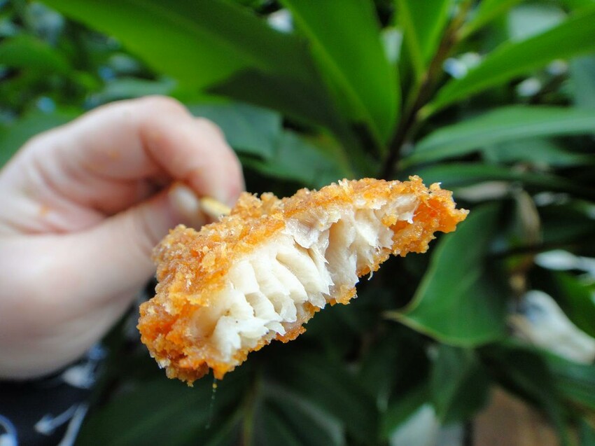 【美食】「好運殿 內湖文德店」，內湖雞排推薦、內湖炸物推薦、捷運文德站美食推薦 (附菜單)