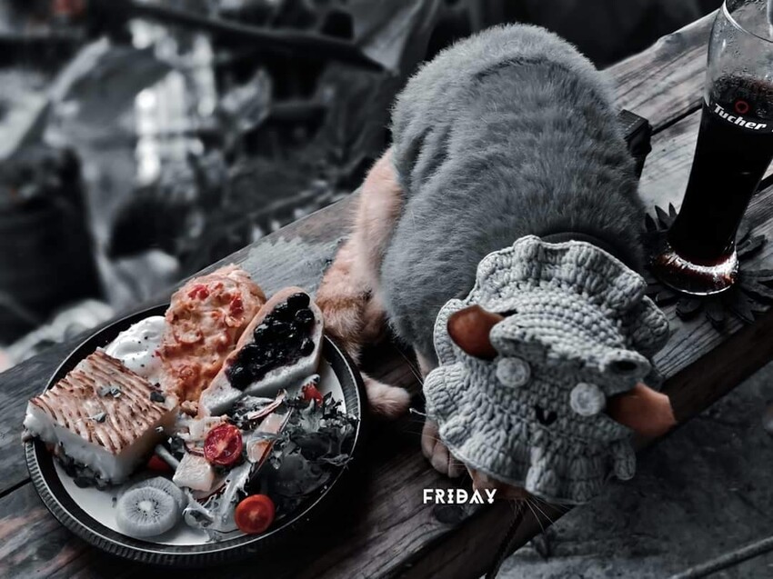 374210.jpg - 【台北.瑞芳】三貂嶺寵物友善咖啡廳。山寓早午餐。森林系戶外咖啡廳