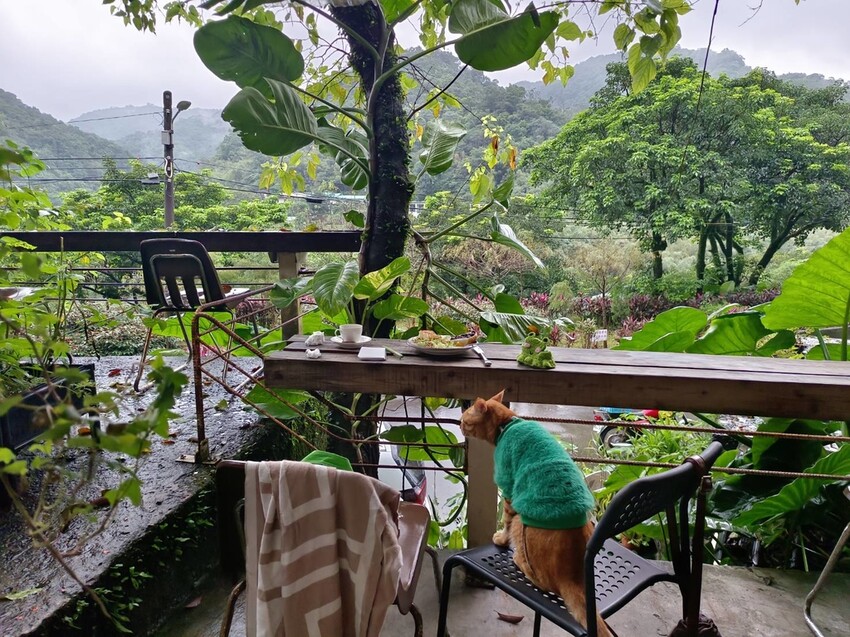 373952.jpg - 【台北.瑞芳】三貂嶺寵物友善咖啡廳。山寓早午餐。森林系戶外咖啡廳