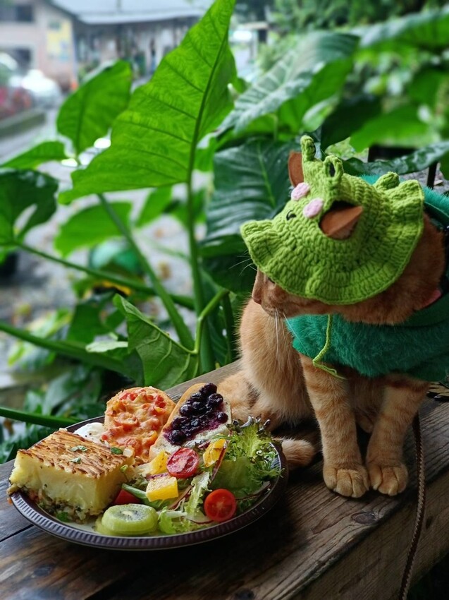 373941.jpg - 【台北.瑞芳】三貂嶺寵物友善咖啡廳。山寓早午餐。森林系戶外咖啡廳