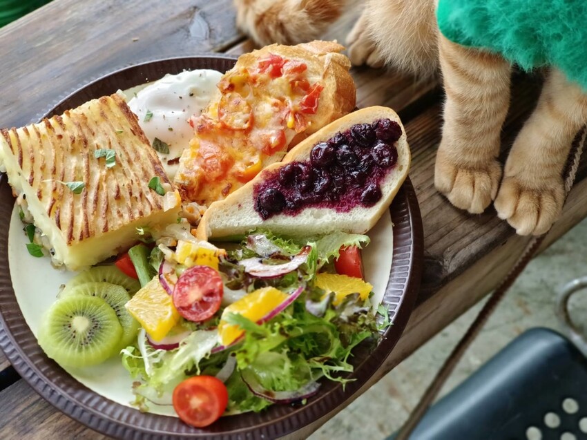 373943.jpg - 【台北.瑞芳】三貂嶺寵物友善咖啡廳。山寓早午餐。森林系戶外咖啡廳