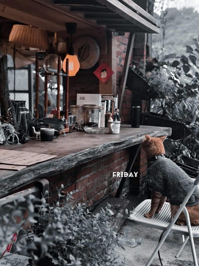 374198.jpg - 【台北.瑞芳】三貂嶺寵物友善咖啡廳。山寓早午餐。森林系戶外咖啡廳