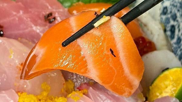 LINE_ALBUM_初鰻_250708_125