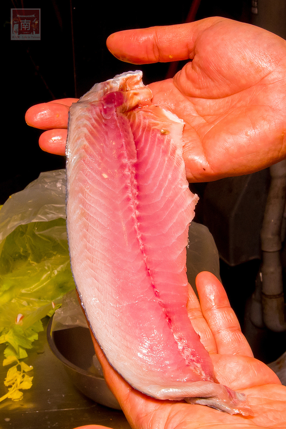 【臺南美食】虱目魚肚粥升級了｜沿海養殖吃益生菌長大的虱目魚｜台灣沿海螃蟹｜藥膳螃蟹粥｜虱目魚肚海鮮粥｜虱目魚皮海鮮麵~順慶海鮮麵 - 南人幫
