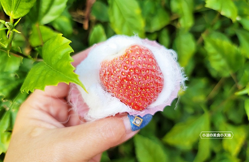 想吃請排隊！草莓龍鬚糖１人限購２盒，還沒開店客人搶拿號碼牌，逢甲商圈新美食、你吃過了嗎？
