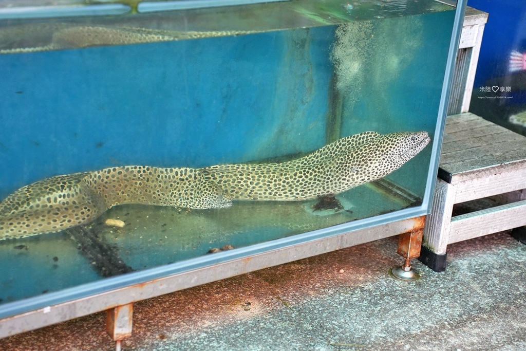 屏東墾丁後壁湖-富美海鮮餐廳 屏東墾丁後壁湖-富美海鮮餐廳
