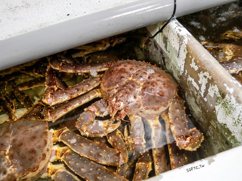 行天宮站美食推薦》89海鮮●生猛活體帝王蟹現抓現煮超新鮮! 合江街超人氣火鍋燒烤兩吃帝王蟹