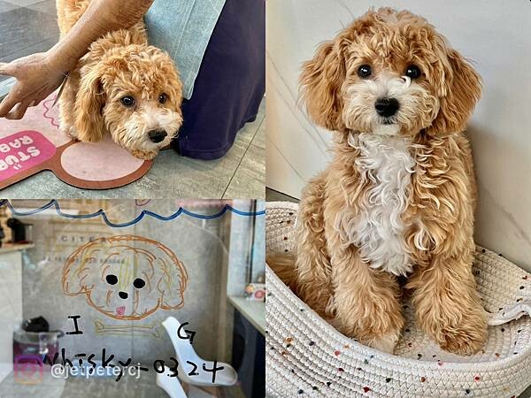 ＋（台中飲料）小澄市台中精誠旗艦店～鮮榨蘋果紅玉、塩雪四季春